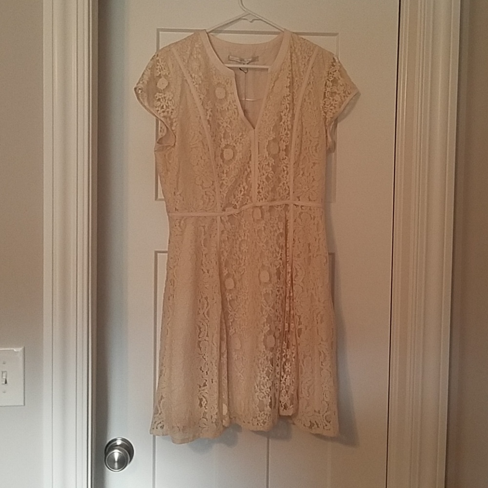 Lace cocktail dress